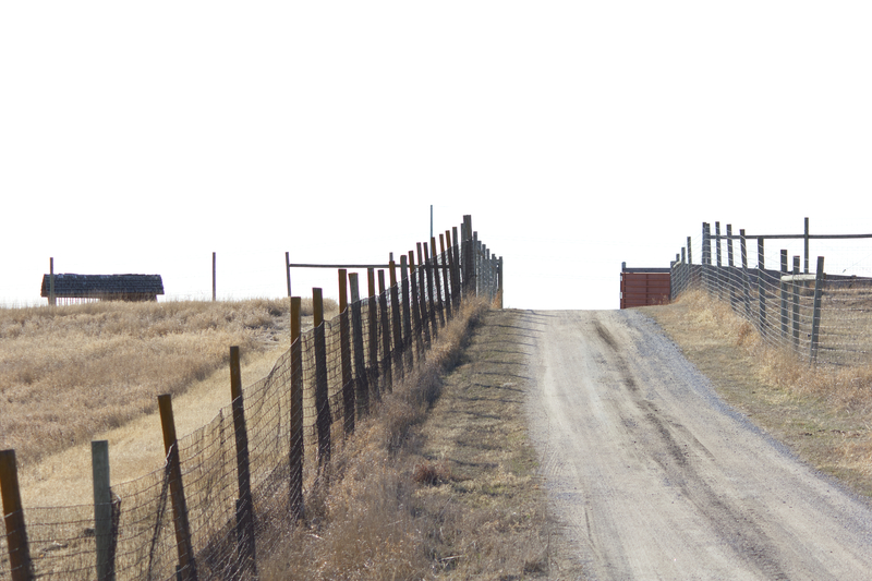 Gravel county road climbing a low rise beside a wooden fence line under an overcast sky
